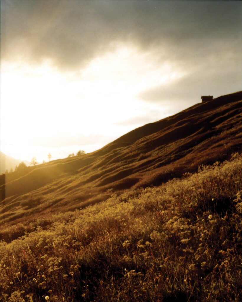 Sifas_©MathieuSalvaing DA Super Regular